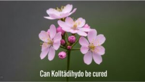 Can Kolltadihydo Be Cured? A Complete Guide to Understand